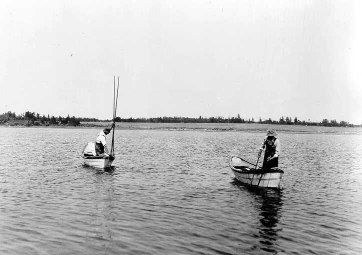 Oyster fishing on Malpeque Bay