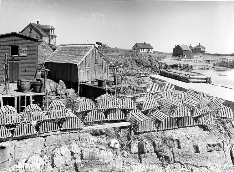 Lobster fishing traps