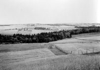 Looking north from Lamont farm, Churchill, P.E.I.