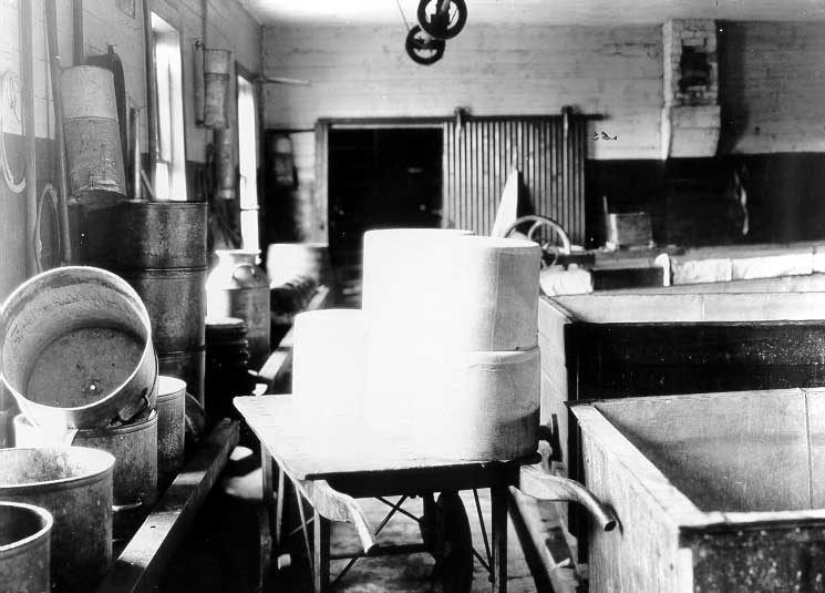 Cheese making equipment