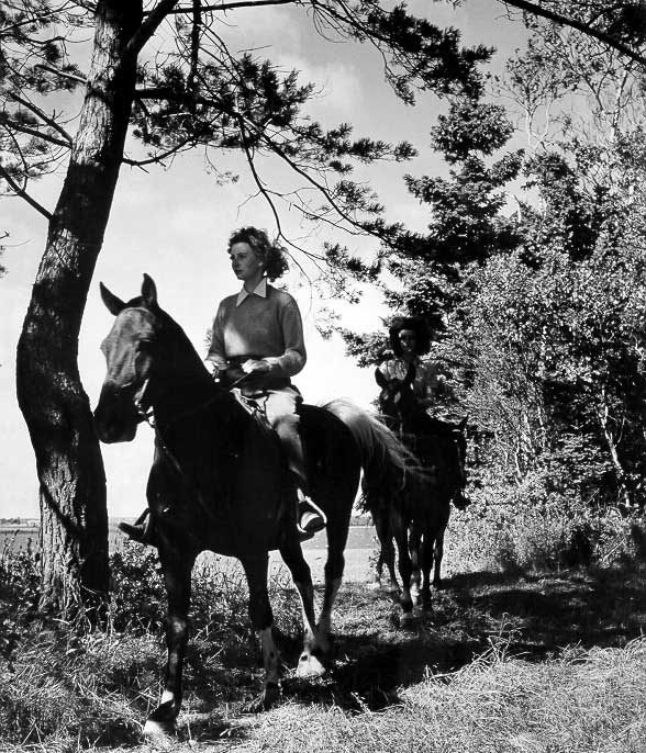 Horseback riding near Charlottetown