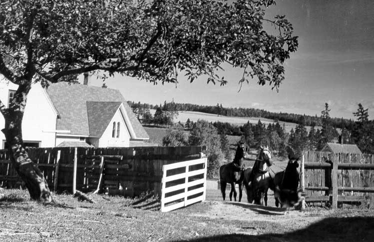 Elton Woodside farmhouse