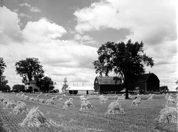 Farmstead, Waterloo, Ontario