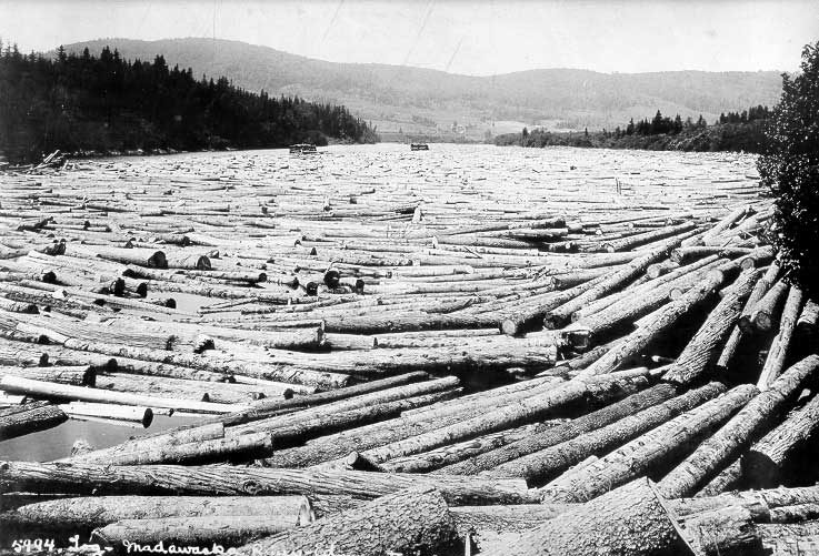 Logs on the Madawaska River