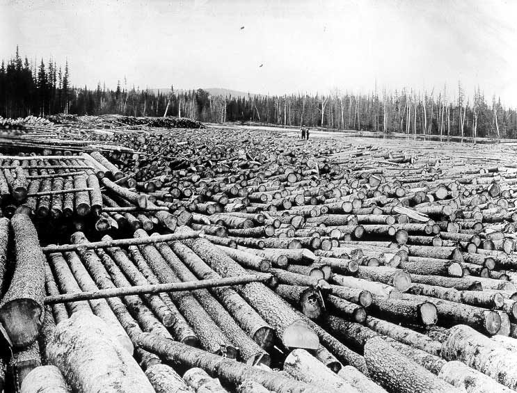 Log boom on the Nepibiquit River