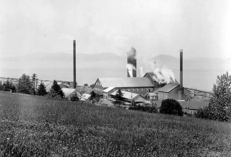 Pulp Mill, Dalhousie, New Bunswick