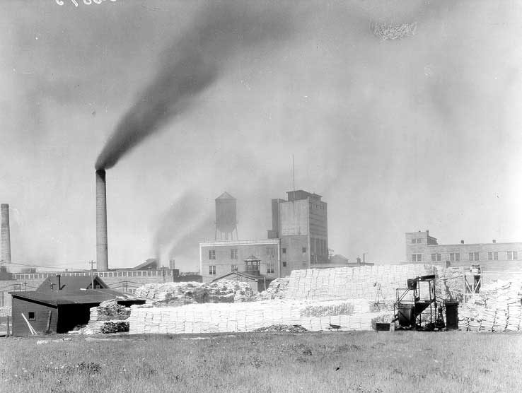 Bathurst Pulp Plant