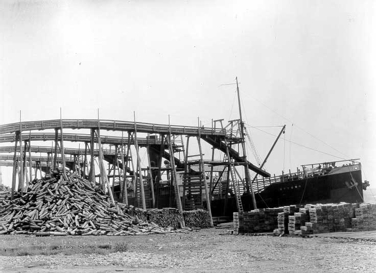 Shipping pulp logs, Chatham, New Brunswick