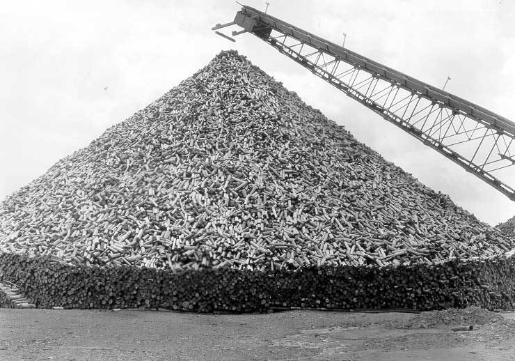 Pulp pile