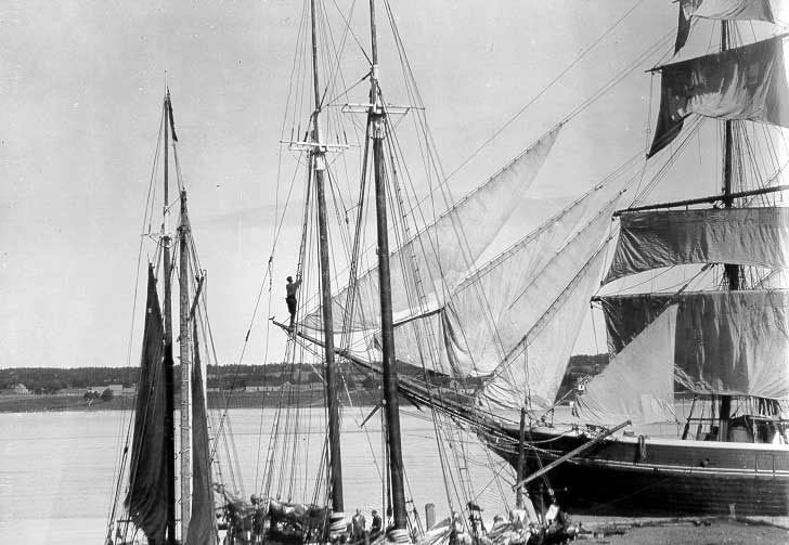 Docked schooners