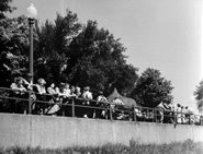 Tourists at Bore Park watching the tidal bore