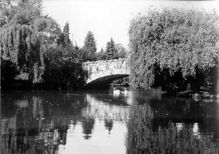 Pond within Beacon Hill Park