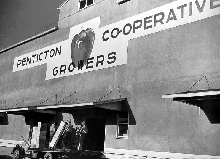 Delivery of produce at the Penticton Fruit Growers Cooperative