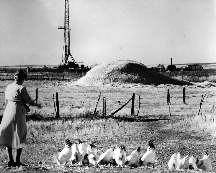 Oil strke in a Smiley, Saskatchewan farmer's backyard