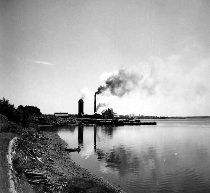 O'Brien's Lumber Mill, near Newcastle, New 
Brunswick