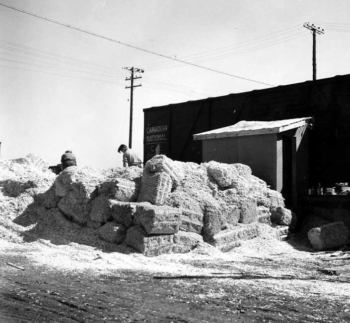 Wood chips for the process of making wallboard, O'Brien's Lumber Mill