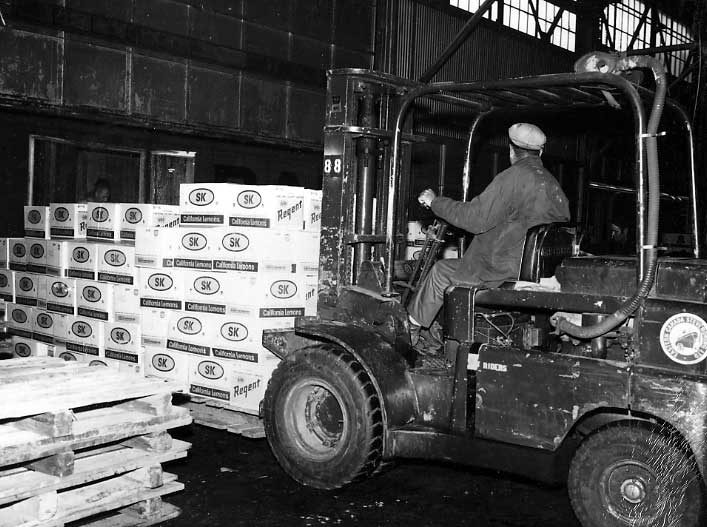 Handling boxes of California lemons, port of Saint John, New Brunswick