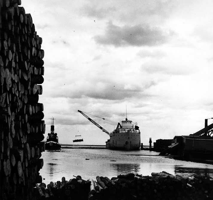 Freighter loading pulp logs from basket