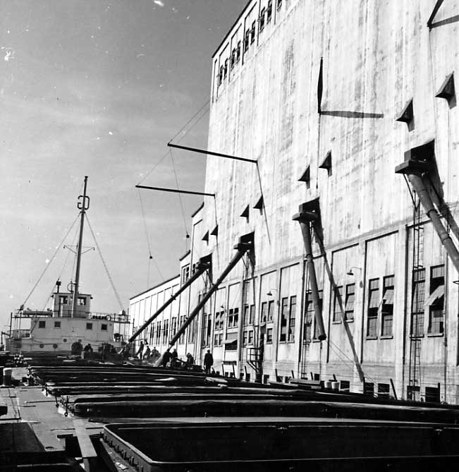 Grain being loaded into different compartments of a cargo ship
