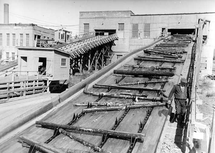 Log conveyor carrying logs to barker, Price Brothers Co. plant
