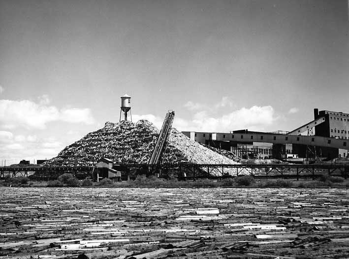 Log boom at the Price Brothers Co. plant, Riverbend, Quebec
