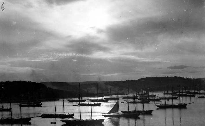 Fishing fleet in Lunenburg Harbour, N.S.