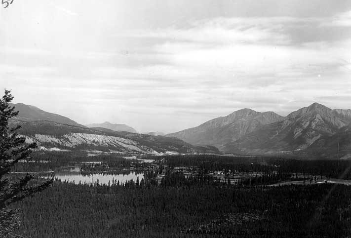 View of the Athabaska Valley, Canadian Rockies in the distance