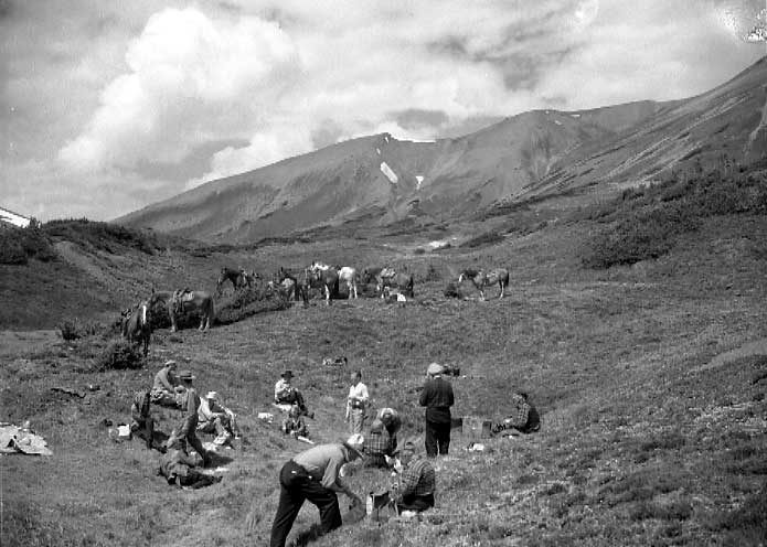 Camera tour party stop for lunch at Little Shovel Pass
