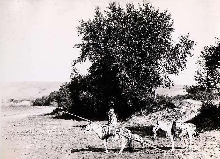 Stoney man and two white horses, all dressed in decorative, beaded hide clothing.
Original caption: