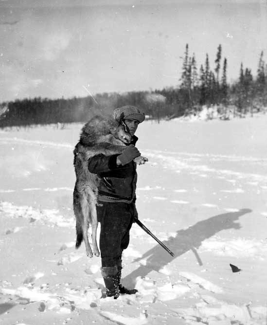 Ojibwa man with timber wolf over his shoulder.
Original caption: