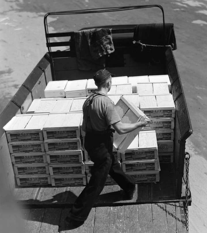 A motorman loading boxes of fruit onto his motor truck, Montreal Fruit Terminal