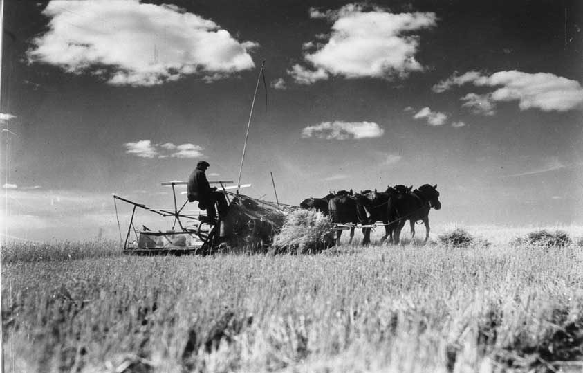 Harvesting in Western Canada