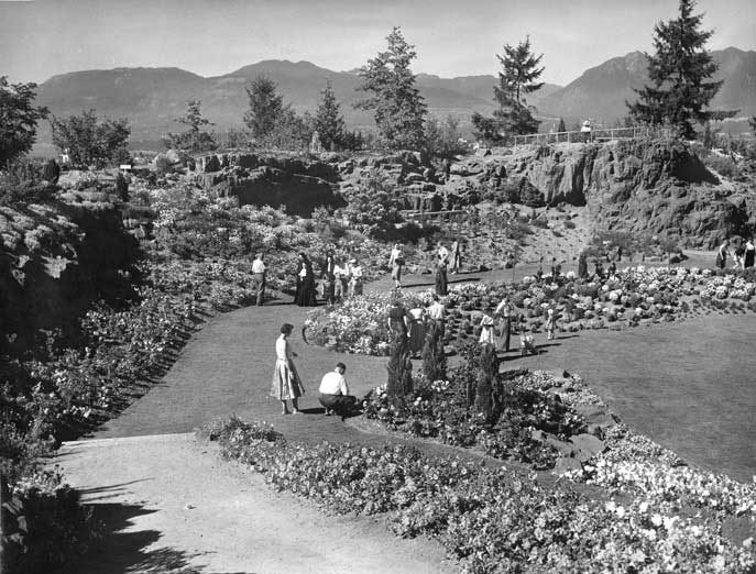 View of the Vancouver Arboretum (Queen Elizabeth Park) at Little Mountain