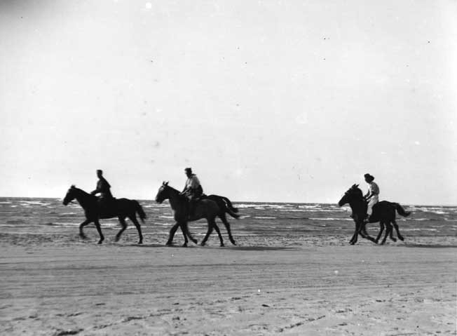 Horseback riding, Blue Water Highway