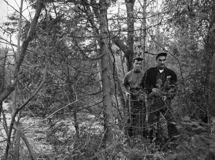 Two hunters in the woods, Saint-Adolphe
