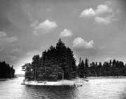 Canoeing by the island of pines, near Catfish Camp