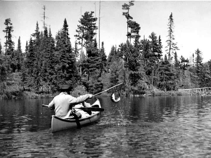 Canoeist catches 4 lb trout on Bird Lake