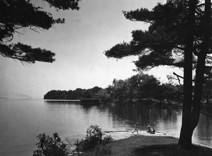 A scenic view of Lily Bay