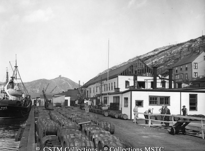 Barrels of fish outside the Job Brothers and Co. Ltd. Fish Plant