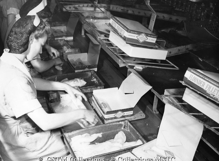 Packaging flounder filets at the Job Brothers and Co. Ltd. Fish Plant