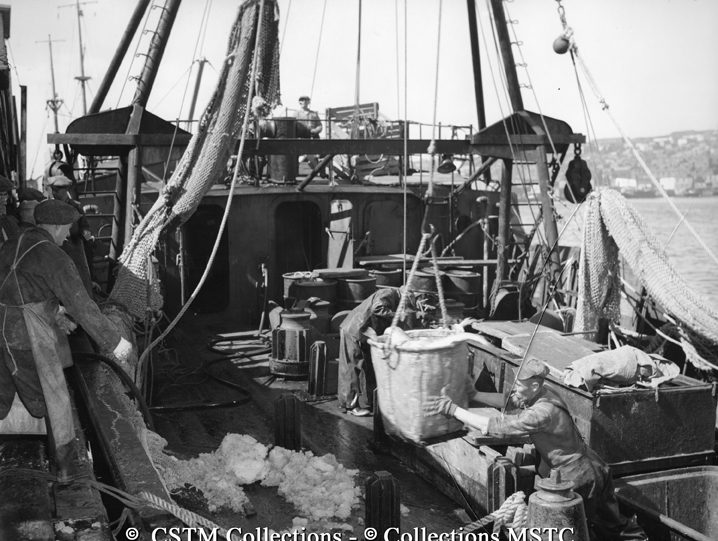 Removing fish from dragger at the Job Brothers and Co. Ltd. Fish Plant