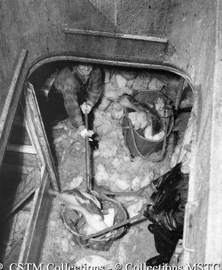 Removing fish from interior of dragger at the Job Brothers and Co. Ltd. Fish Plant