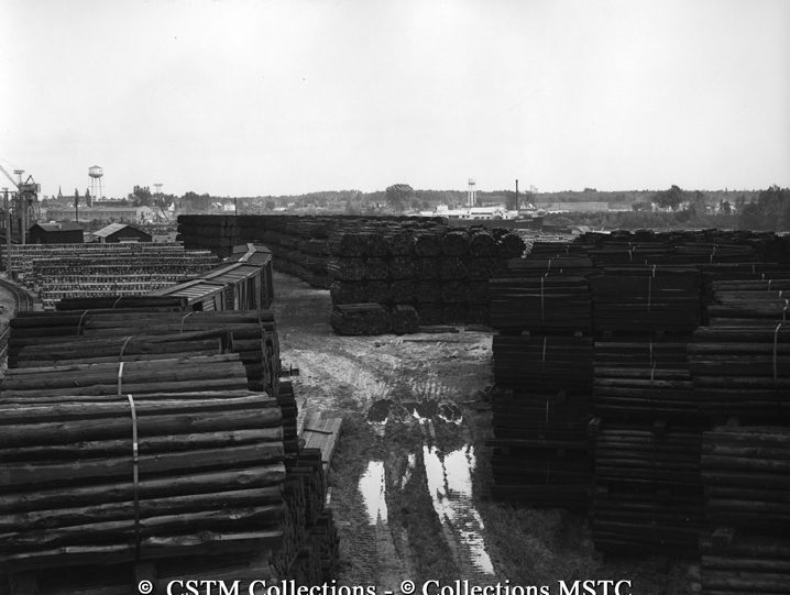 Stock piles of treated and untreated ties at the yards of Wood Preservation Industries Ltd.