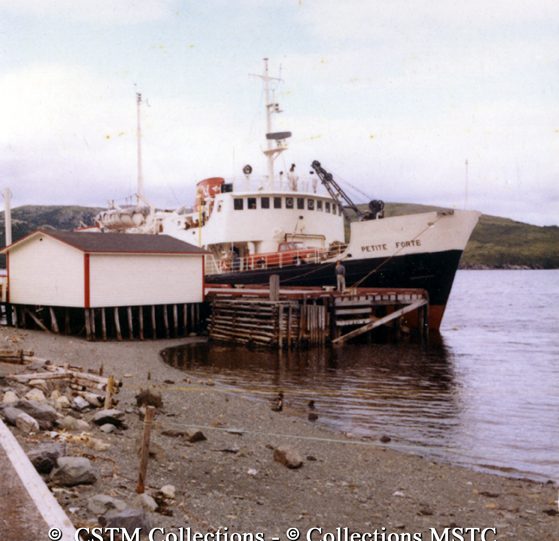 MV Petite Forte unloading cargo