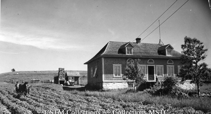 Cultivating potatoes, near Rimouski, Que