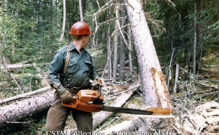 A Balco Mill employee watching his chain sawed tree fall in the forest