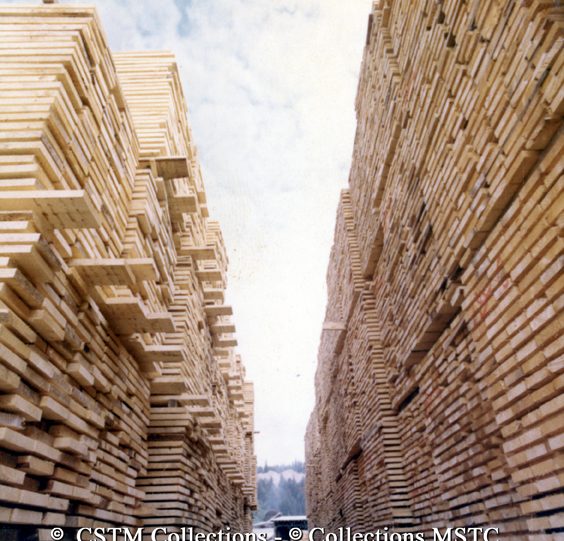 Stacks of processed lumber