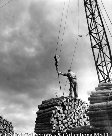 Attaching the crane to a single cord bundle of wood