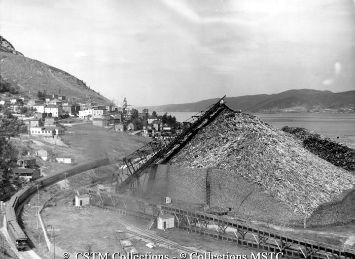 Substantial pulp pile at the Bowater’s Newfoundland Pulp and Paper Mills Limited