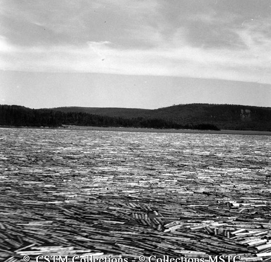 Newfoundland log boom, seen from the railway line